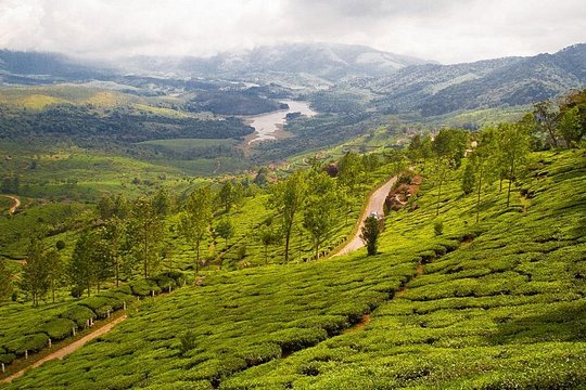 Tour image 2