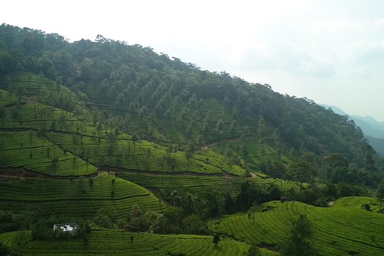 Tour image 3